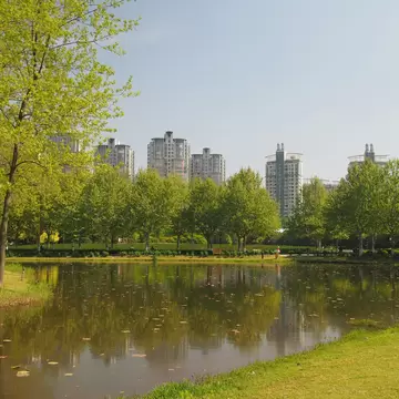 Shanghai/ China - 18th April 2019: A view across Mirror Lake with trees reflected in the water and tall apartment buildings in the background in Century Park, Shanghai's largest park on a summer day, License Type: media, Download Time: 2026-08-25T15:28:50.000Z, User: LP_NZhan, Editorial: true, purchase_order: 65050 - Digital Destinations and Articles, job: Nadine Zhan, client: Lonely Planet App, other: Nadine Zhan 