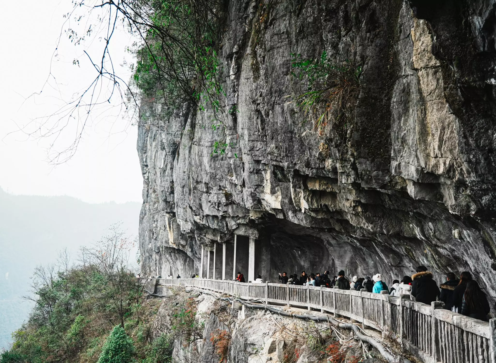 People walk along a path cut into a schist cliff in a nature reserve.