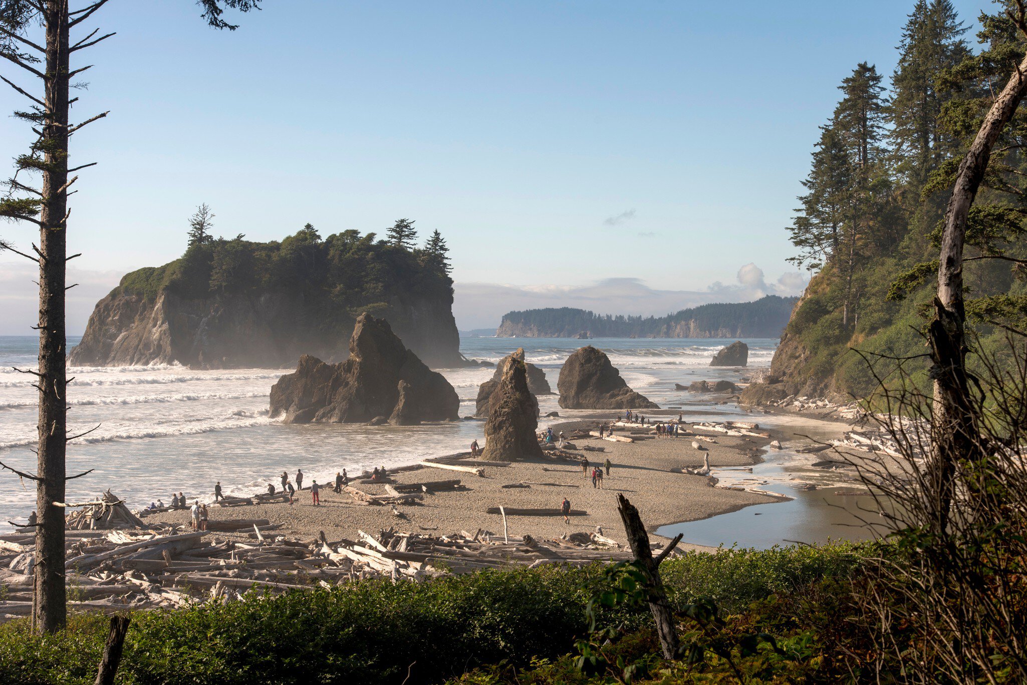 Visitors at a beach strewn with driftwood; there are large formations in the water, and a small island with high cliffs just offshore.