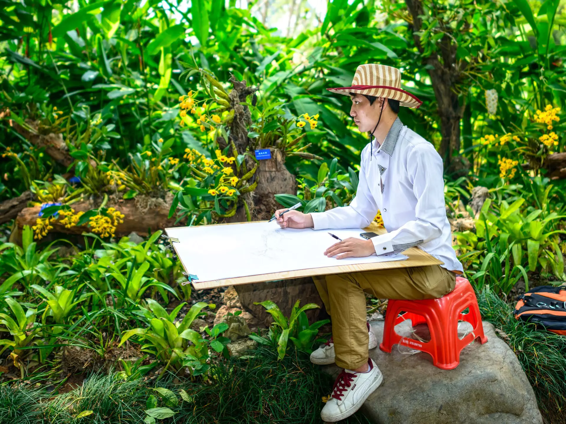 A young man painting sketch in Xishuangbanna Tropical Botanical Garden, Chinese Academy of Sciences. Located in Menglun Town, Mengla County, Yunnan Province, China.