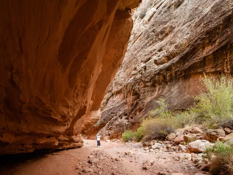 Woman takes pictures at The Narrows at Grand Wash, Capitol Reef National Park, UT, USA 