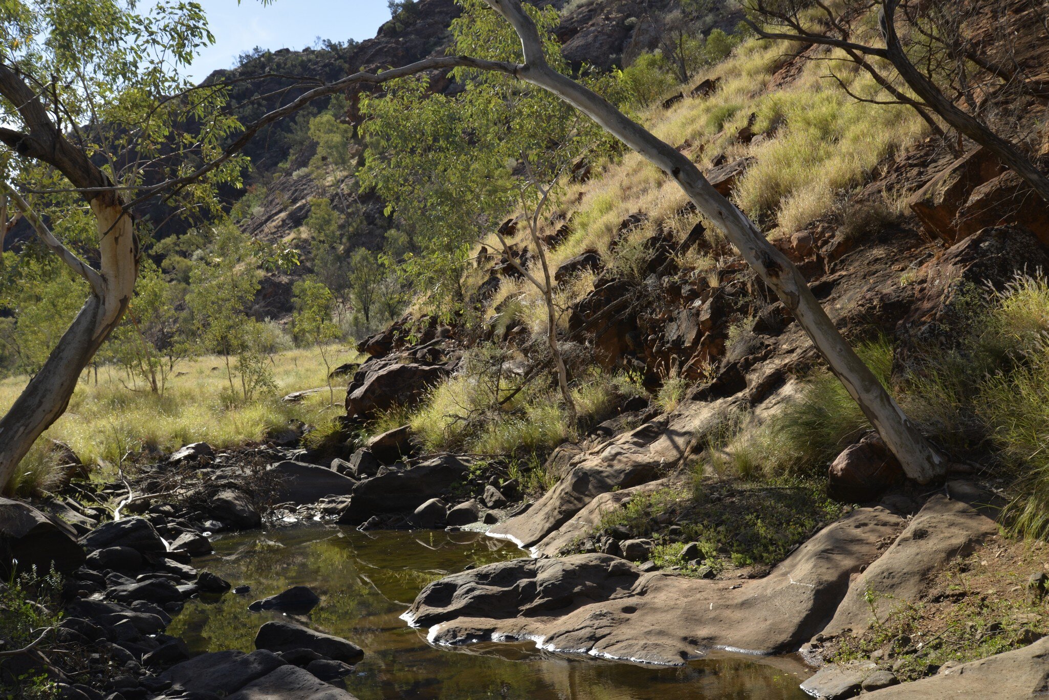 Rocky Water Hole at N'Dhala Gorge Nature Park near Ross River Homestead in the East Macdonnell Ranges, Northern Territory, Central Australia.
