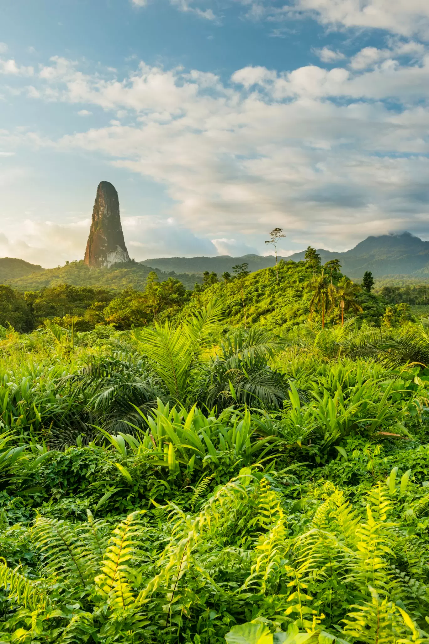 A massive rock tower, resembling an index finger bursts out of the jungle and rises into the sky