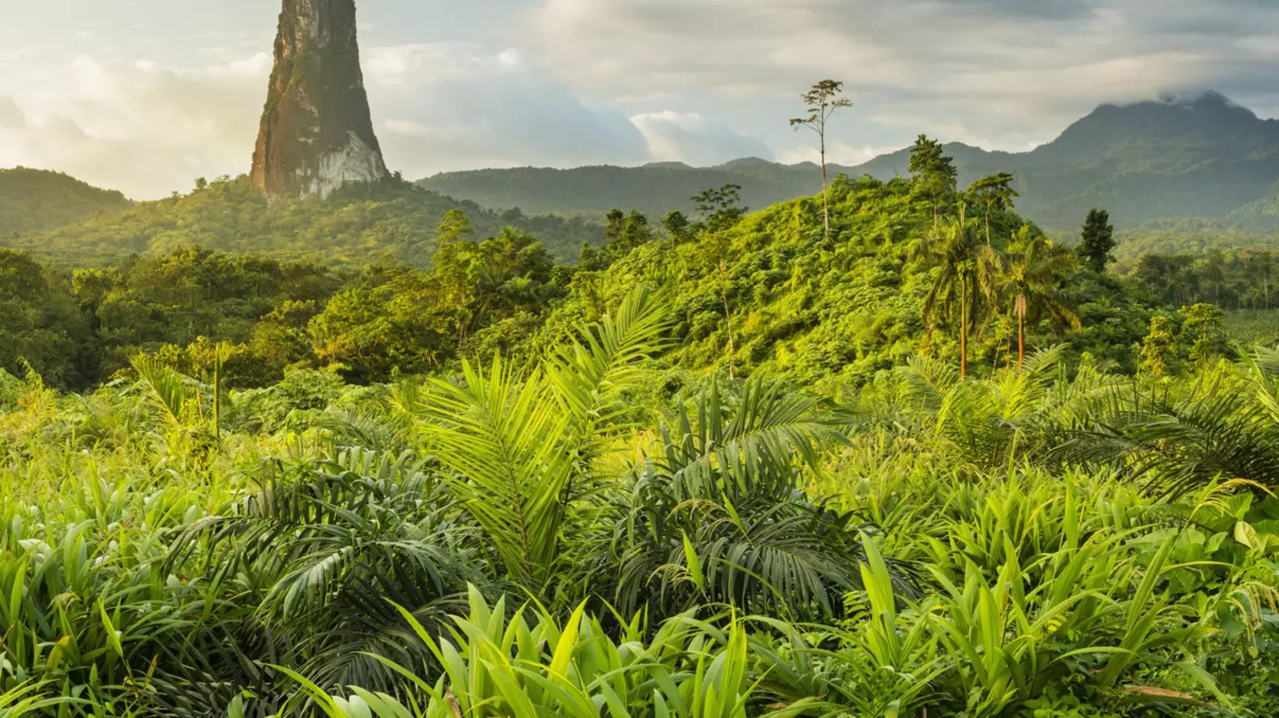 A massive rock tower, resembling an index finger bursts out of the jungle and rises into the sky
