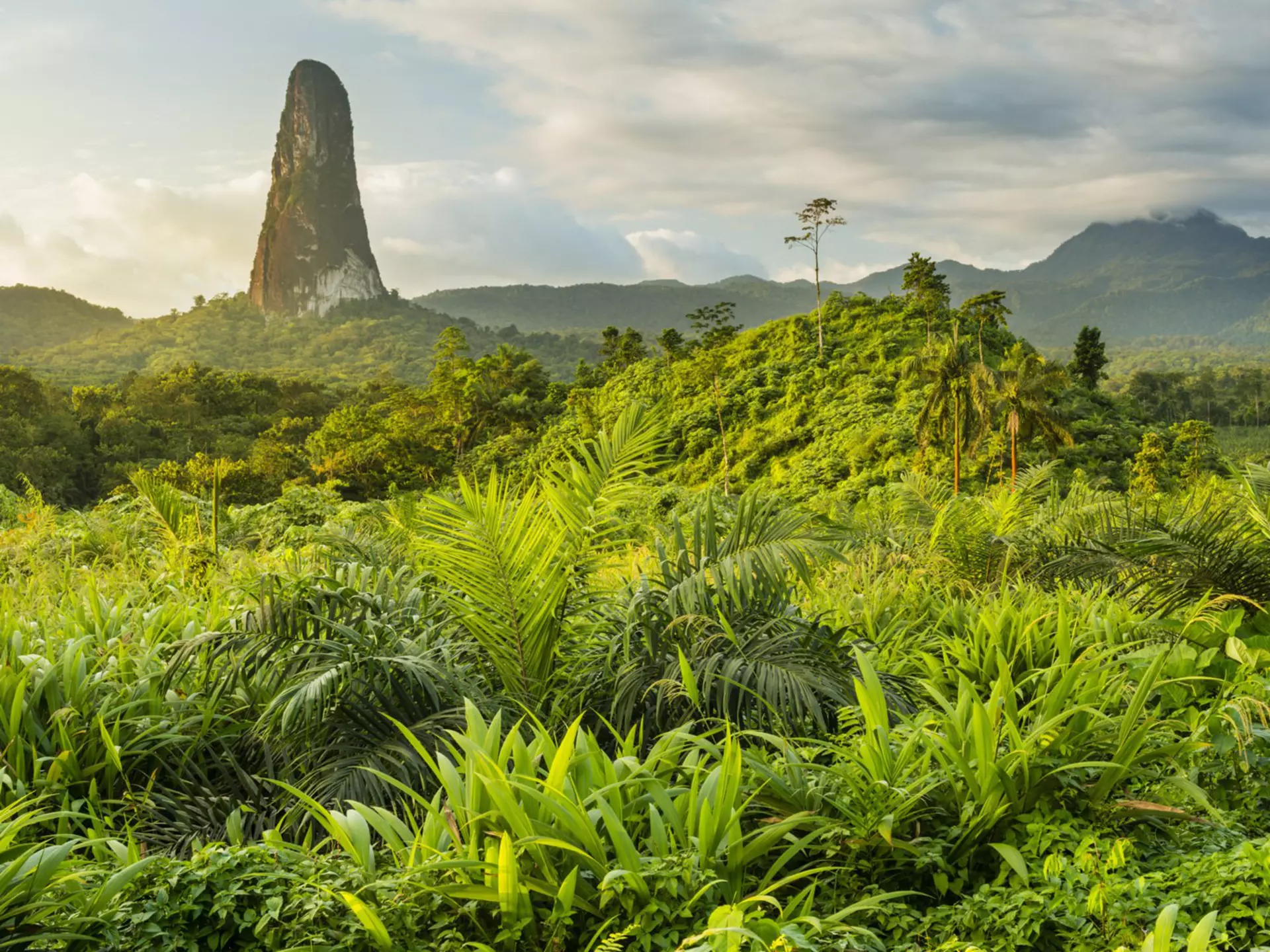 A massive rock tower, resembling an index finger bursts out of the jungle and rises into the sky