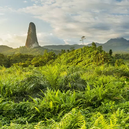 A massive rock tower, resembling an index finger bursts out of the jungle and rises into the sky