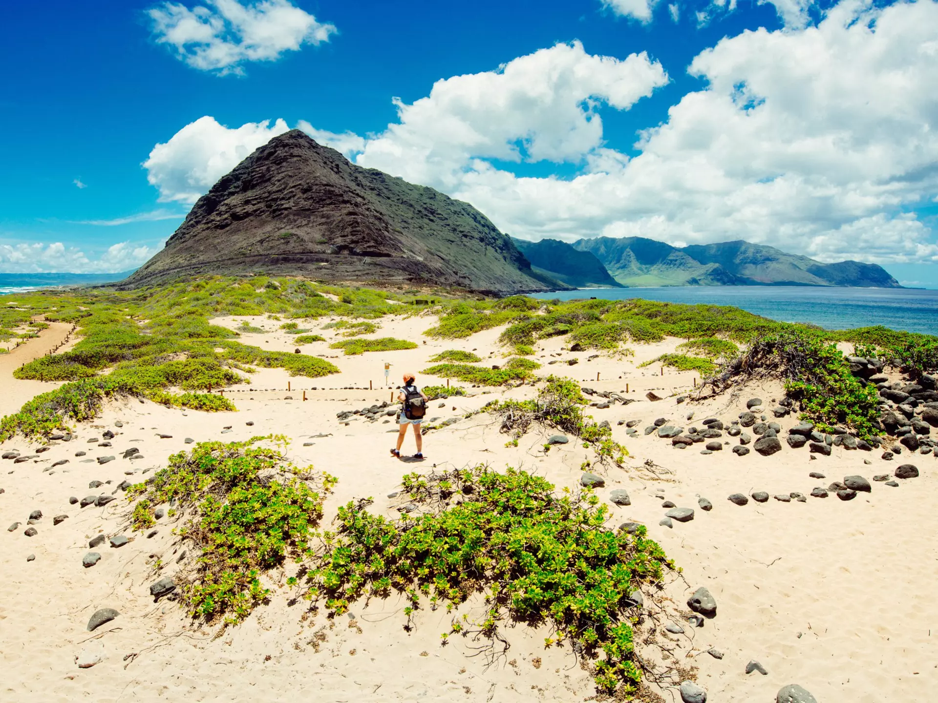 506015978
103626; 30-39 Years; Adult; Adults Only; Adventure; Aerial View; Backpacker; Candid; Curiosity; Dirt Road; Discovery; Exploration; Female; Females; FEMMEFLUX; Fun; Hawaii Islands; High Angle View; Hiking; Horizontal; Journey; Leisure Activity; Mid Adult; Mid Adult Women; Oahu; One Mid Adult Woman Only; One Person; One Woman Only; Only Women; Outdoors; Pacific Islands; Pacific Ocean; People; Photography; Real People; Recreational Pursuit; Road Trip; Sand Dune; Summer; Surf; Travel; Travel Destinations; Vacations; Volcano; Wai'anae Coast; Women;
Woman hiking on the dunes of Ka'ena Point in Oahu. Hawaii.