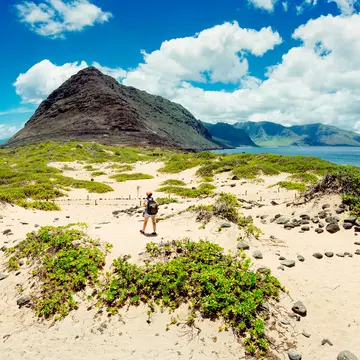 506015978
103626; 30-39 Years; Adult; Adults Only; Adventure; Aerial View; Backpacker; Candid; Curiosity; Dirt Road; Discovery; Exploration; Female; Females; FEMMEFLUX; Fun; Hawaii Islands; High Angle View; Hiking; Horizontal; Journey; Leisure Activity; Mid Adult; Mid Adult Women; Oahu; One Mid Adult Woman Only; One Person; One Woman Only; Only Women; Outdoors; Pacific Islands; Pacific Ocean; People; Photography; Real People; Recreational Pursuit; Road Trip; Sand Dune; Summer; Surf; Travel; Travel Destinations; Vacations; Volcano; Wai'anae Coast; Women;
Woman hiking on the dunes of Ka'ena Point in Oahu. Hawaii.