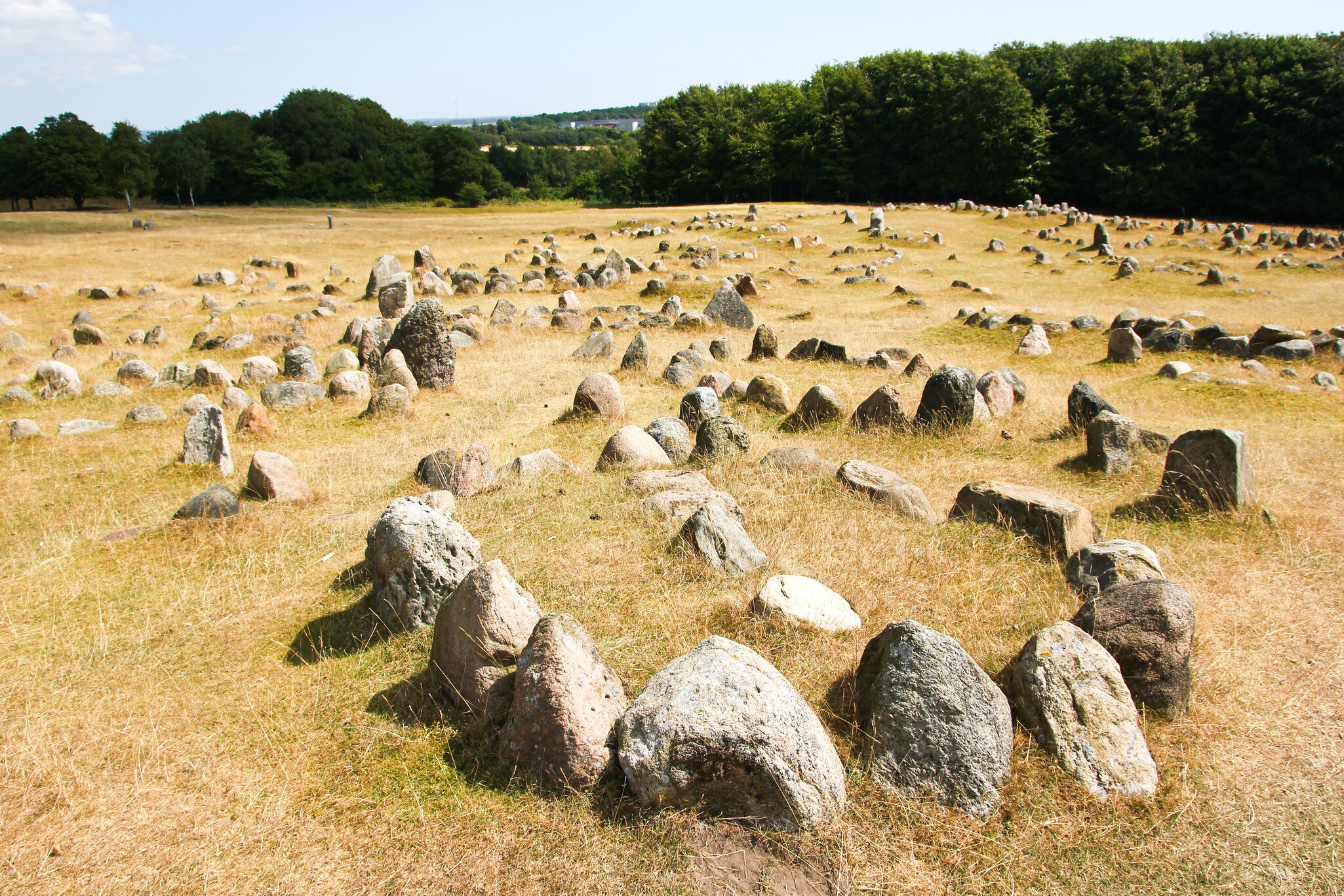 The old viking cemetery in Aalborg in Denmark, called Lindholm Høje. 