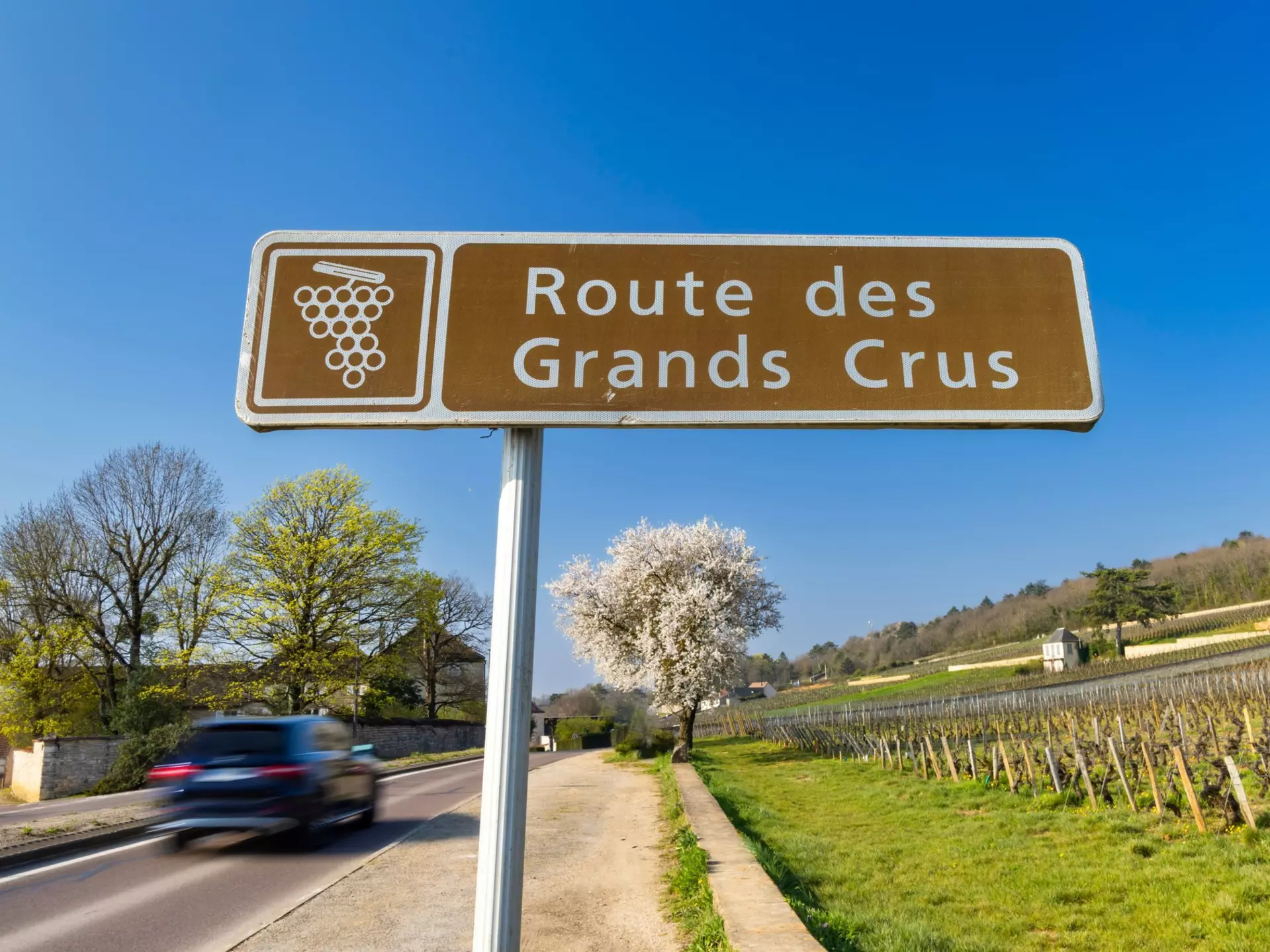 The Route des Grands Crus in Burgundy, France. Richard Semik/Shutterstock