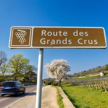 The Route des Grands Crus in Burgundy, France. Richard Semik/Shutterstock