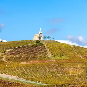 vineyards grand cru in Beaujolais witha church, Fleurie, Rhone-Alpes, France  License Type: media  Download Time: 2022-06-02T01:23:53.000Z  User: mvm_lonelyplanet  Is Editorial: No  purchase_order:   