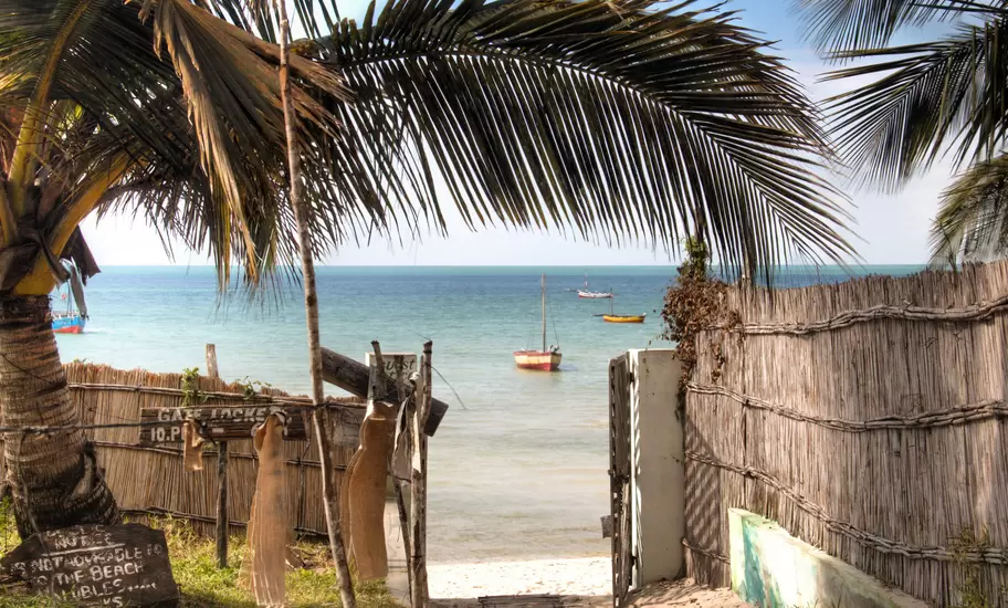 Mozambique coast: gate in a reed fence under palms opens onto a beach with dhows moored offshore
