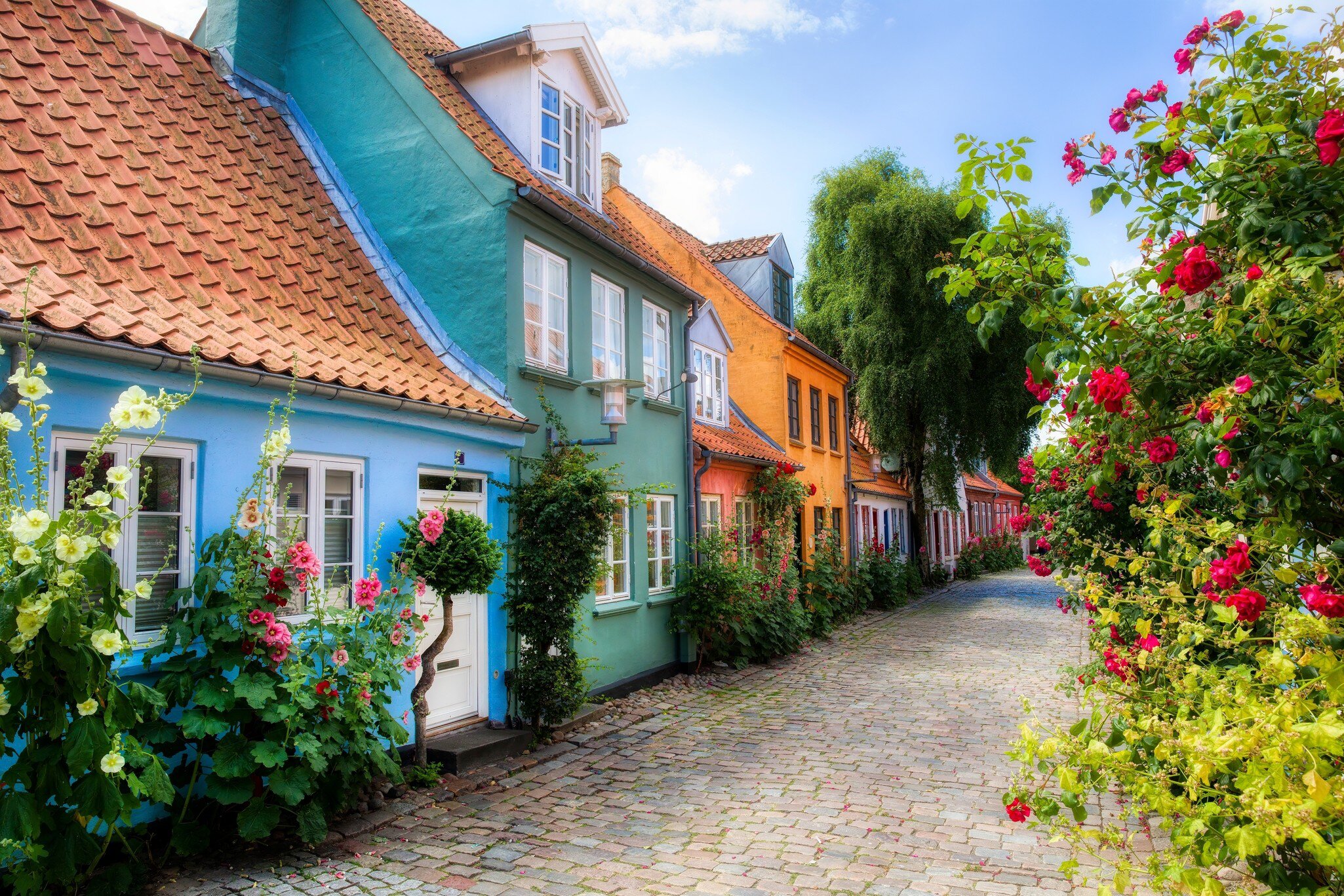 Houses in the charming and famous street Møllestien in Aarhus, Denmark.
