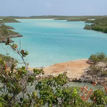 Bright turquoise lagoon dotted with small scrub-covered rocky islets at Chalk Sound, framed by sea grape leaves.
