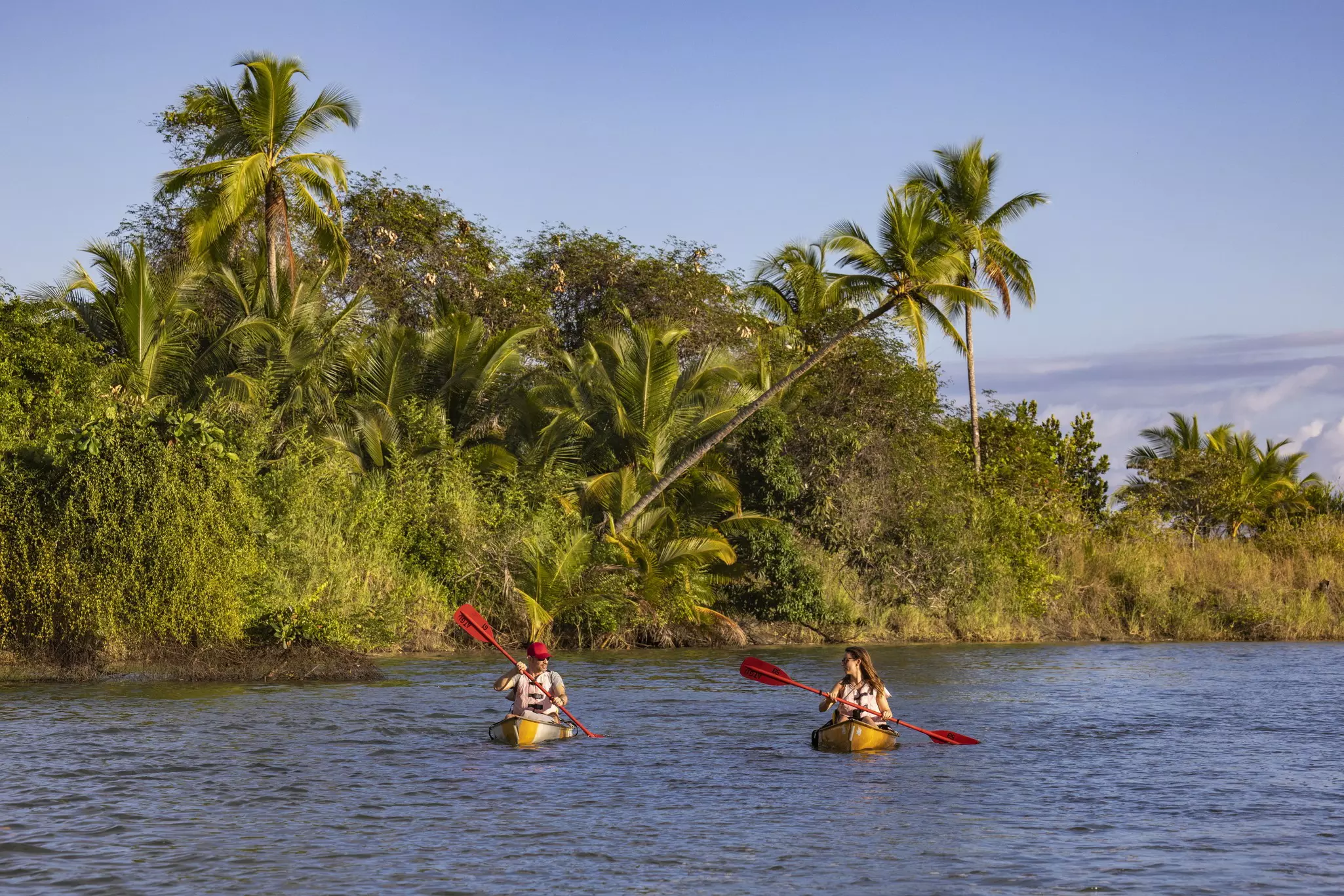 Two people paddling along a shoreline lined with dense jungle