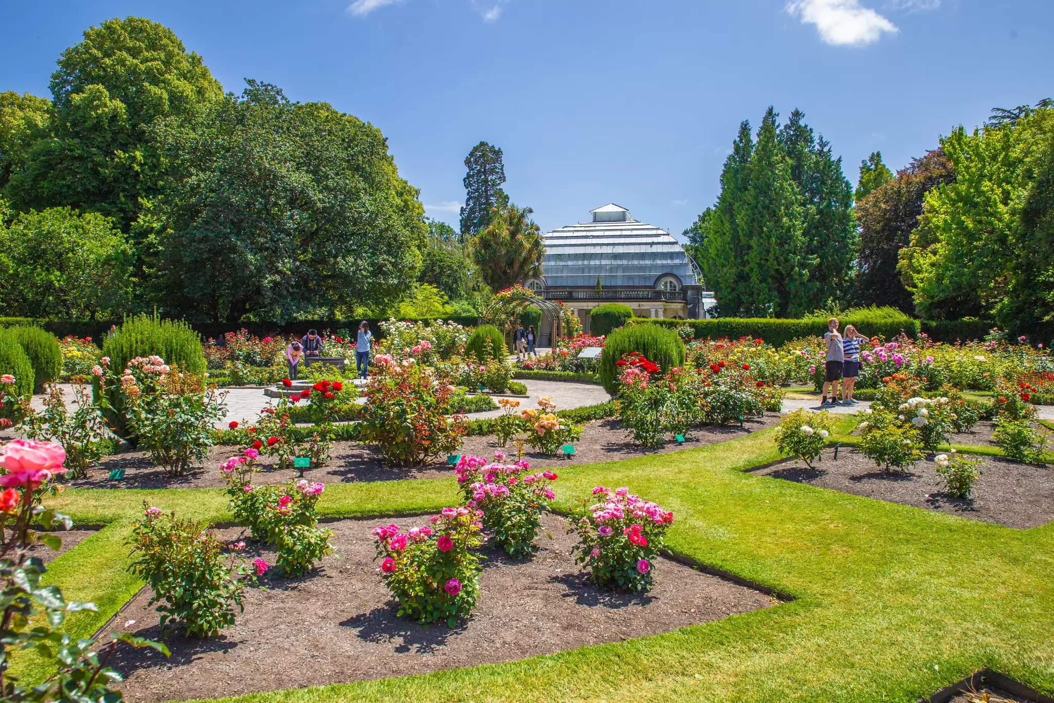 People wander around a garden of roses just outside the Botanic Gardens in Hagley Park in Christchurch, New Zealand.