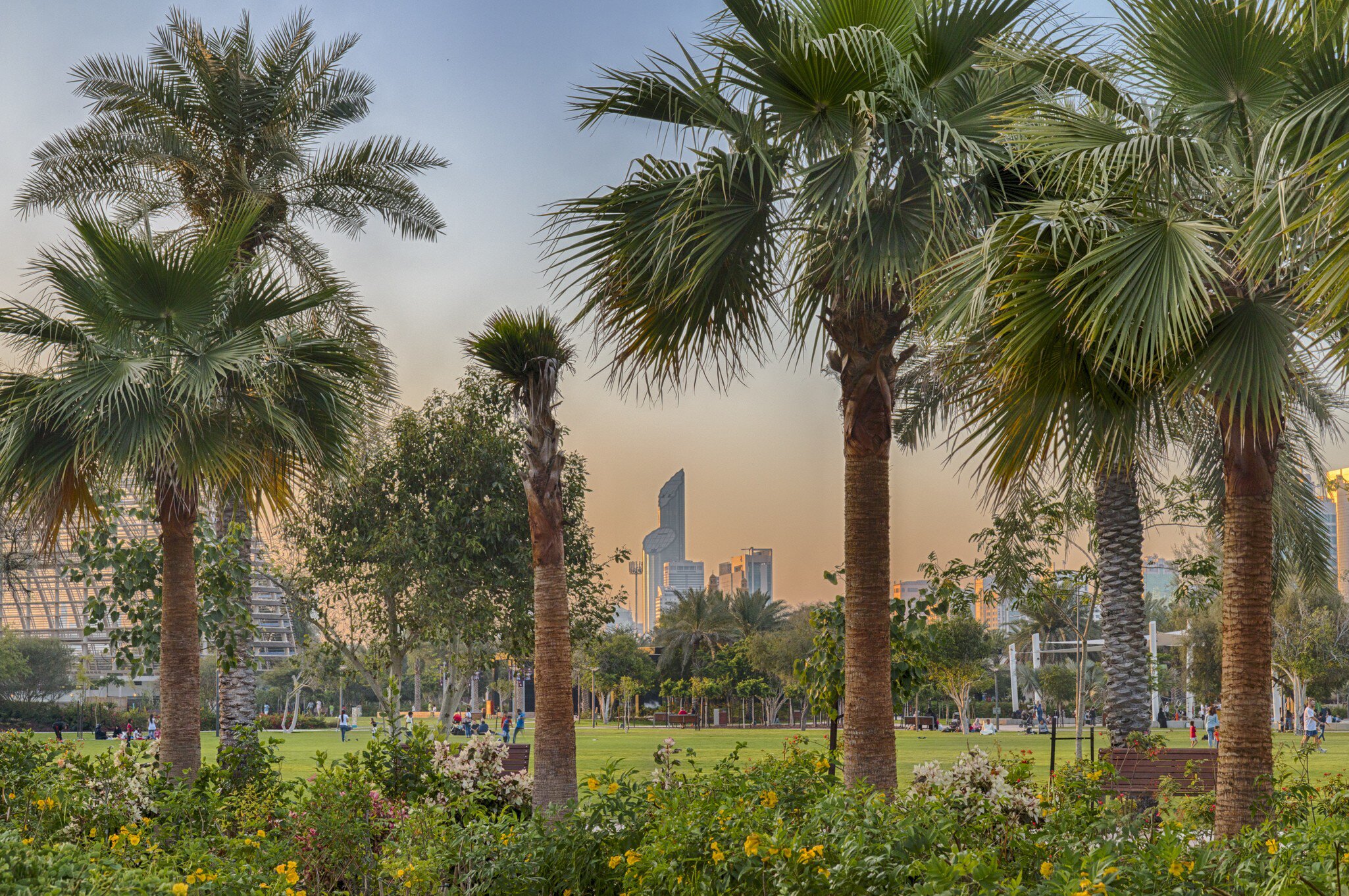 GettyImages-2264553788.jpg
UAE - Abu Dhabi - Umm Al Emarat Park - Palm Trees and City Skyline at Dusk