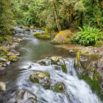Small river in the Los Quetzales National Park, Costa Rica.