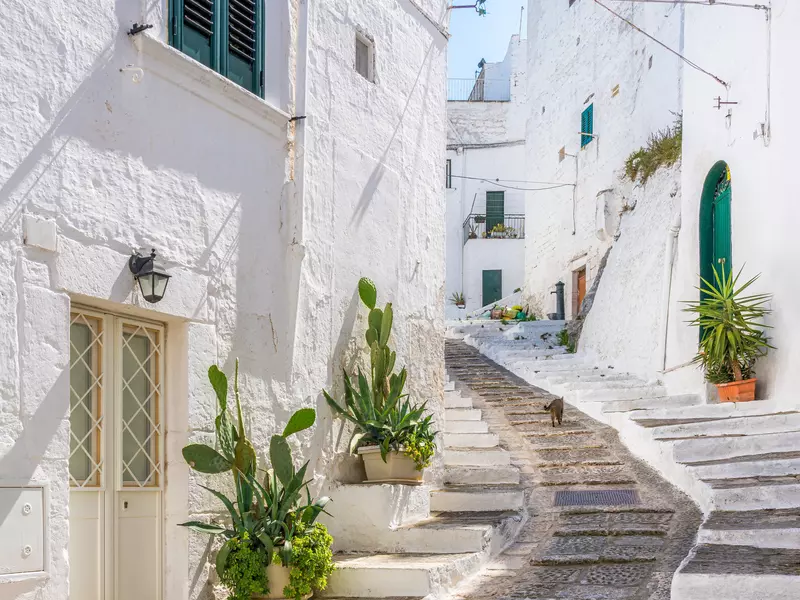 An animal walks up a graded walkway between white buildings in a historic town center in Italy.