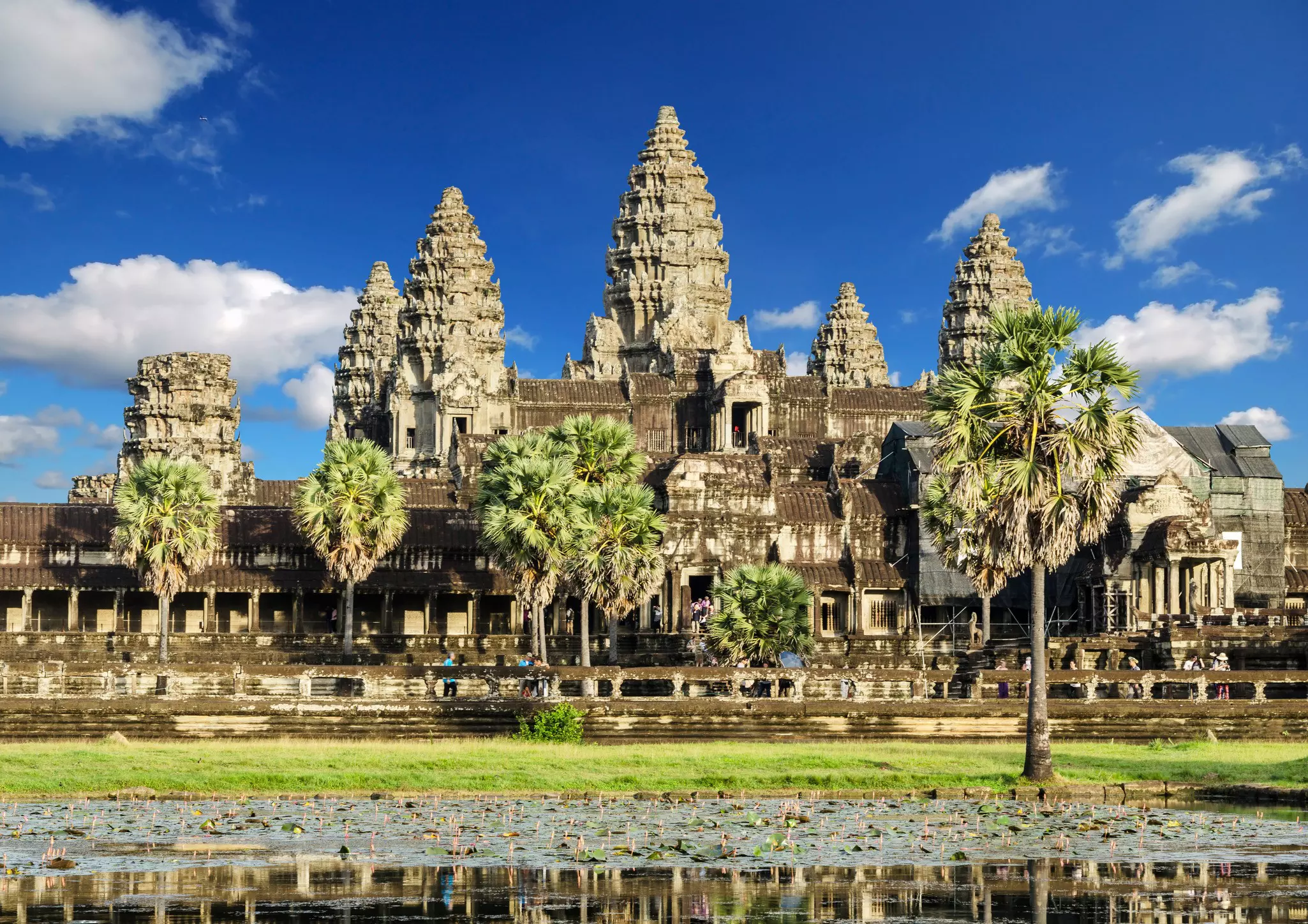 Angkor Wat rises above its lotus-filled moat in Cambodia.