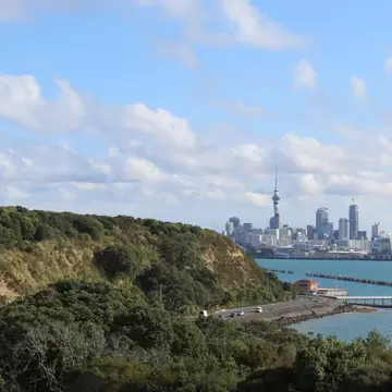 A few vehicles are visible on a road that wraps around a point by the water; the Auckland skyline is visible in the background.