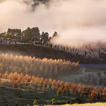 GettyImages-1124346646.jpg
Parliament House Viewed From Canberra Arboretum