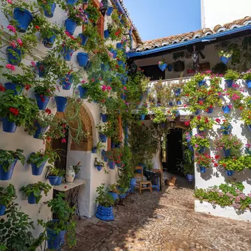 A whitewashed home with blue pots hanging on the facade filled with green plants with red flowers