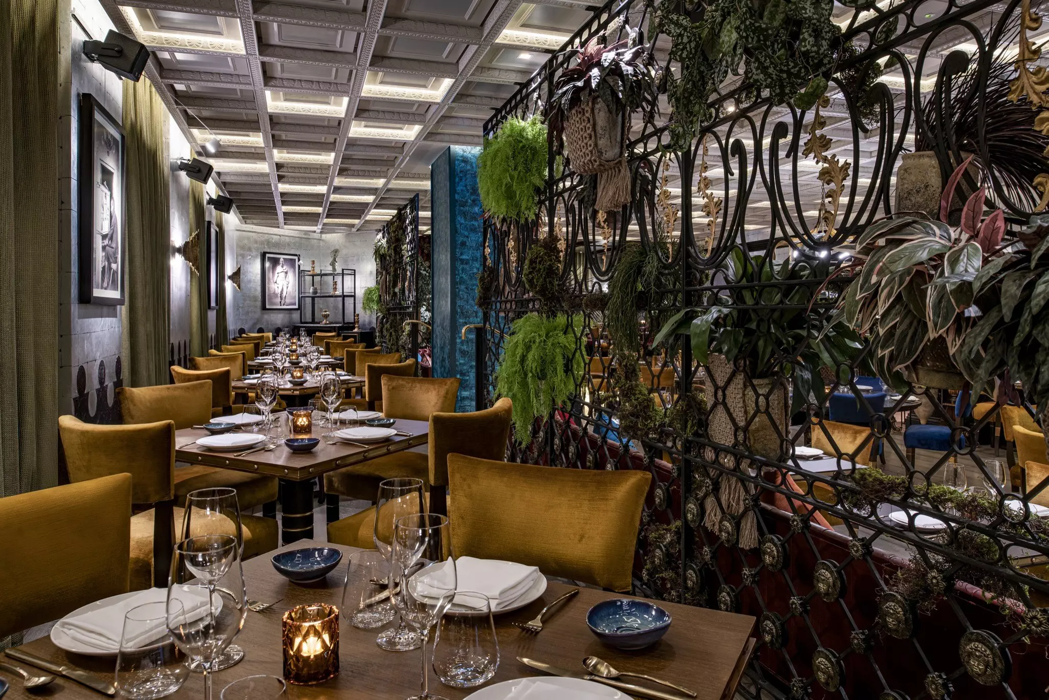 Qatar_Fine-Dining_Coya_Ambiance.jpg