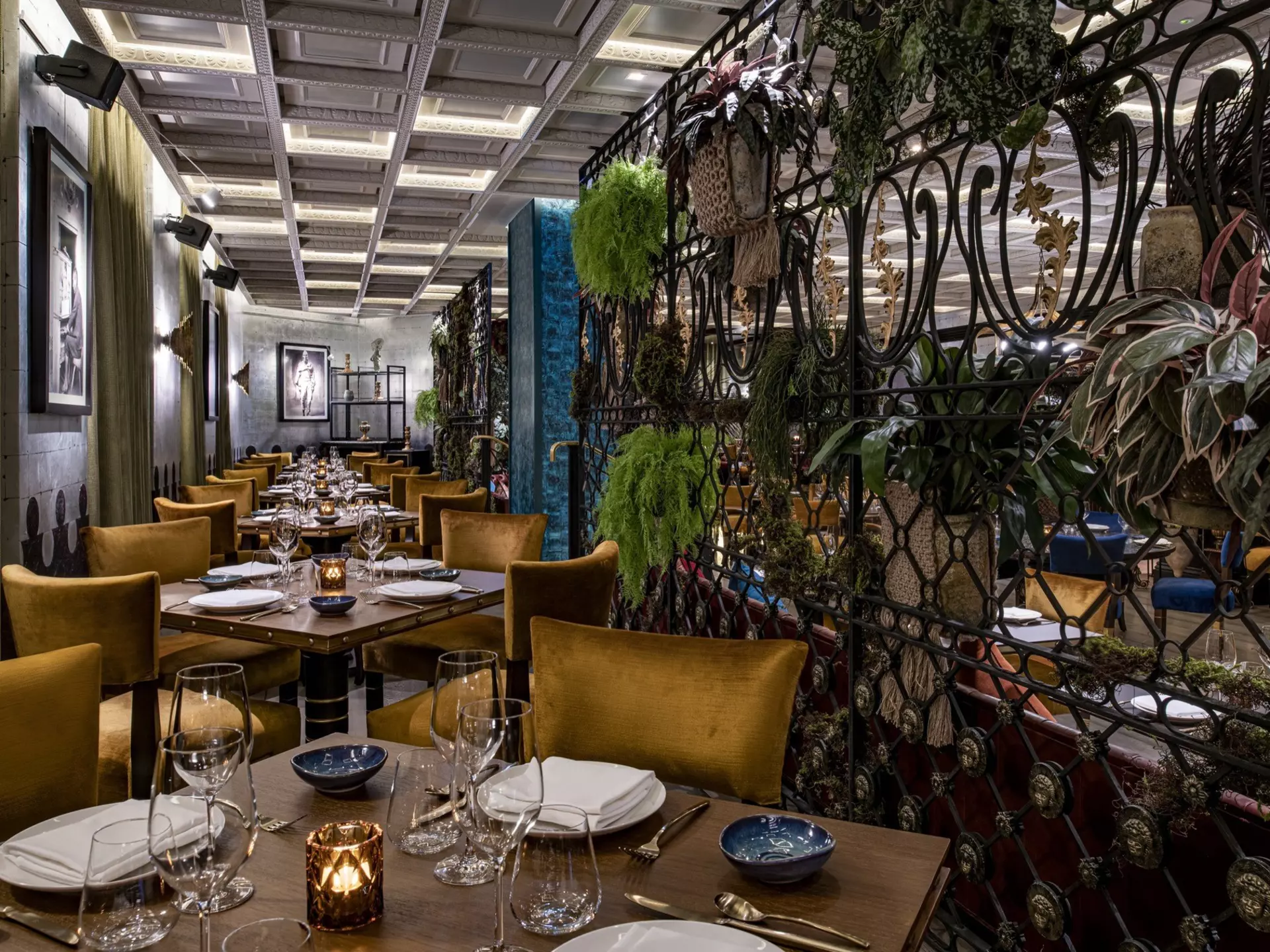 Qatar_Fine-Dining_Coya_Ambiance.jpg