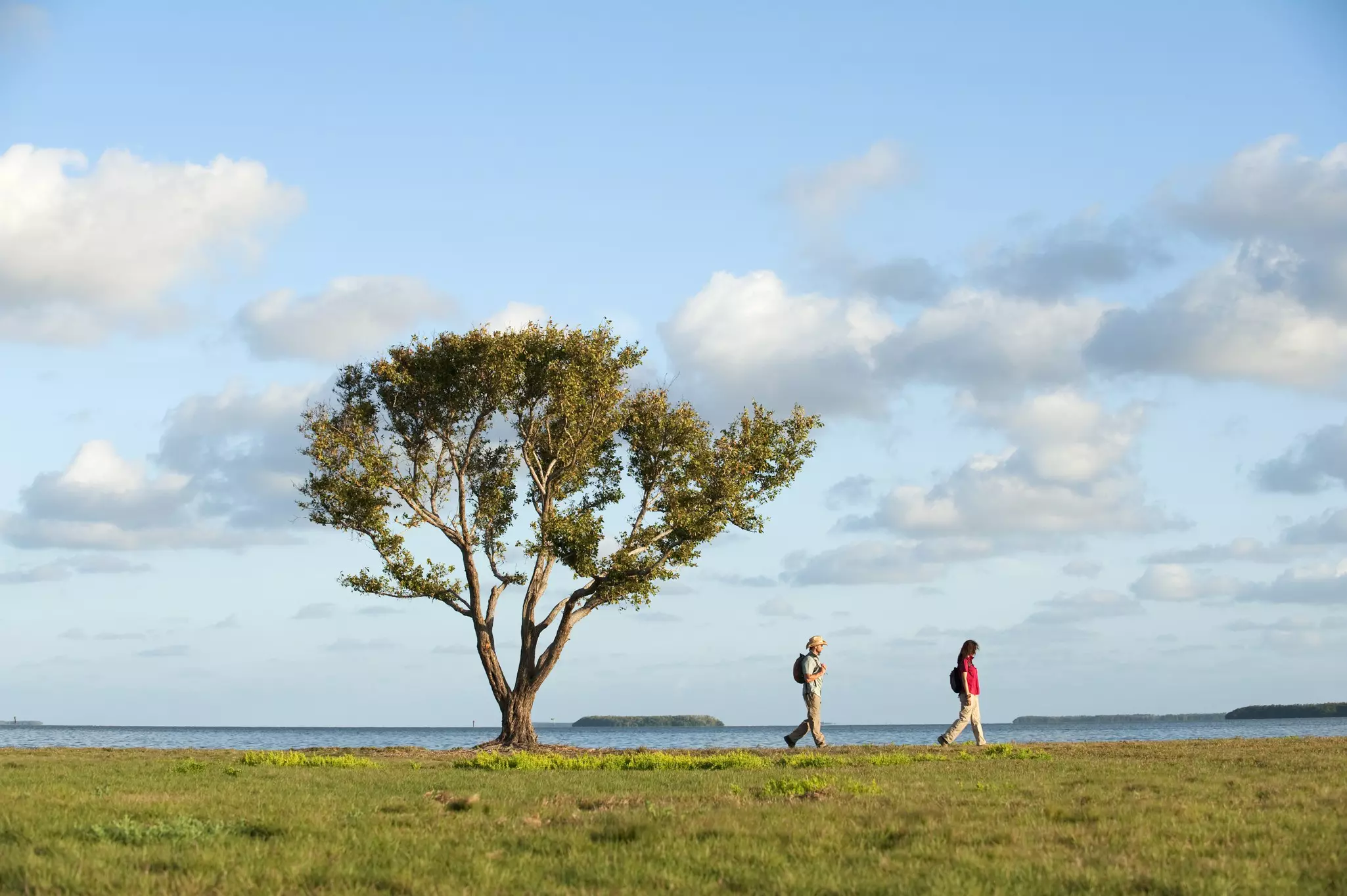 However you explore Everglades National Park, keep an eye peeled for wildlife © Cavan Images / Getty Images