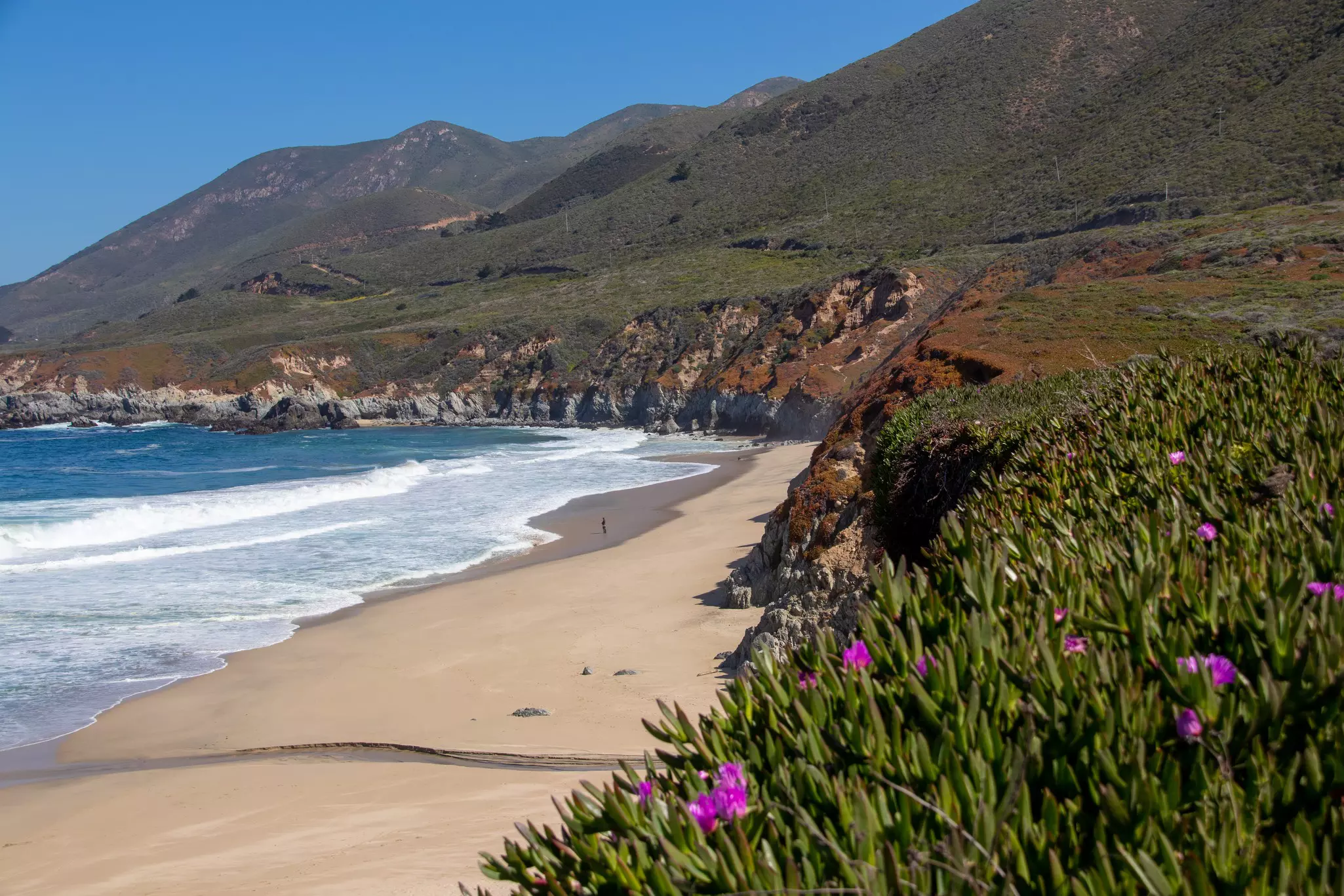 A central California coast camping road trip features tidepooling, hiking, and beachcombing © Anne M Vallone / Shutterstock