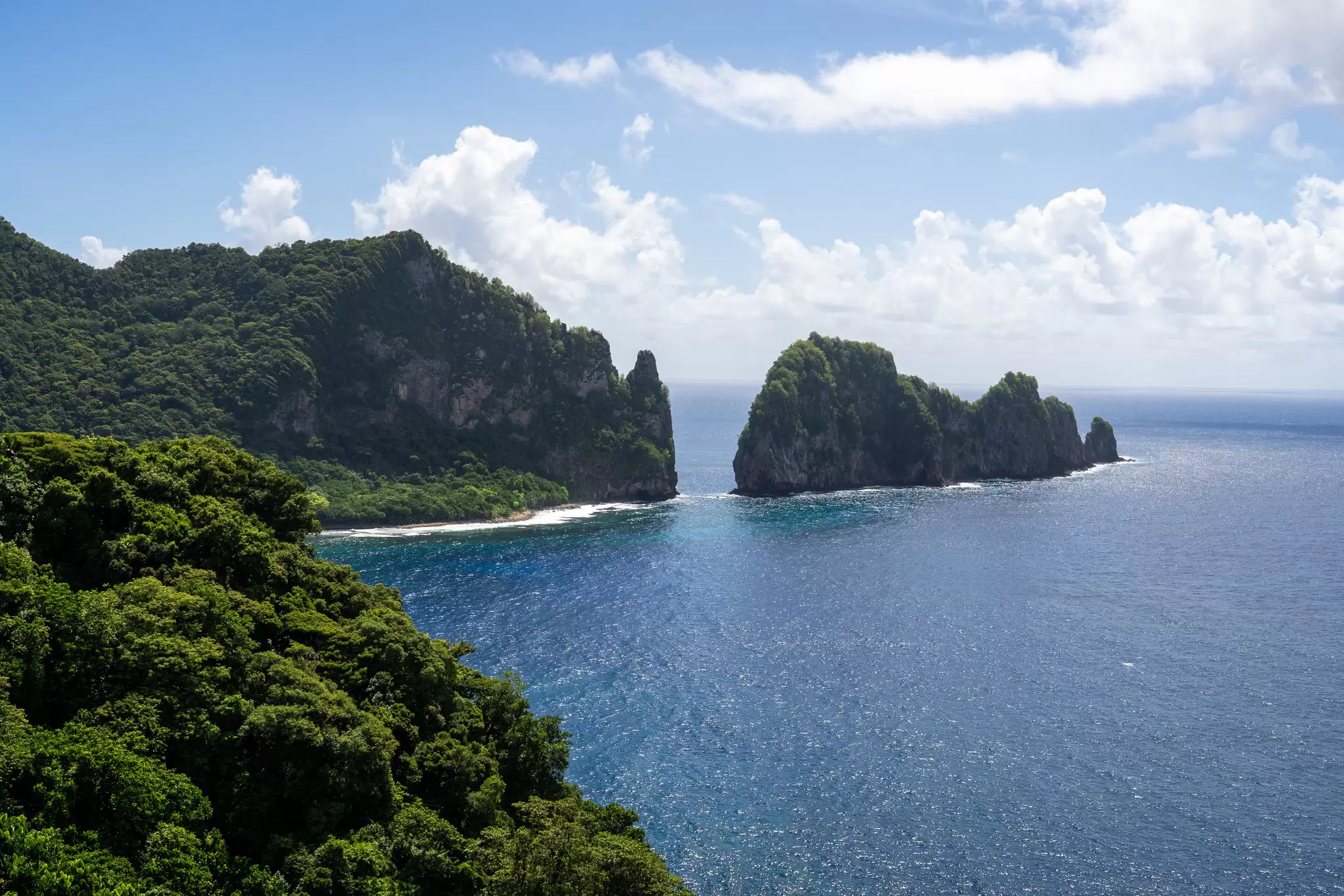 Rocky islets in the ocean covered in dense vegetation