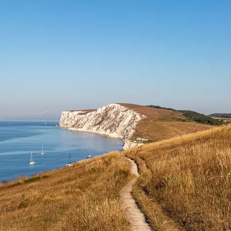 Looking along the coastal path towards the chalk cliffs at Freshwater Bay.