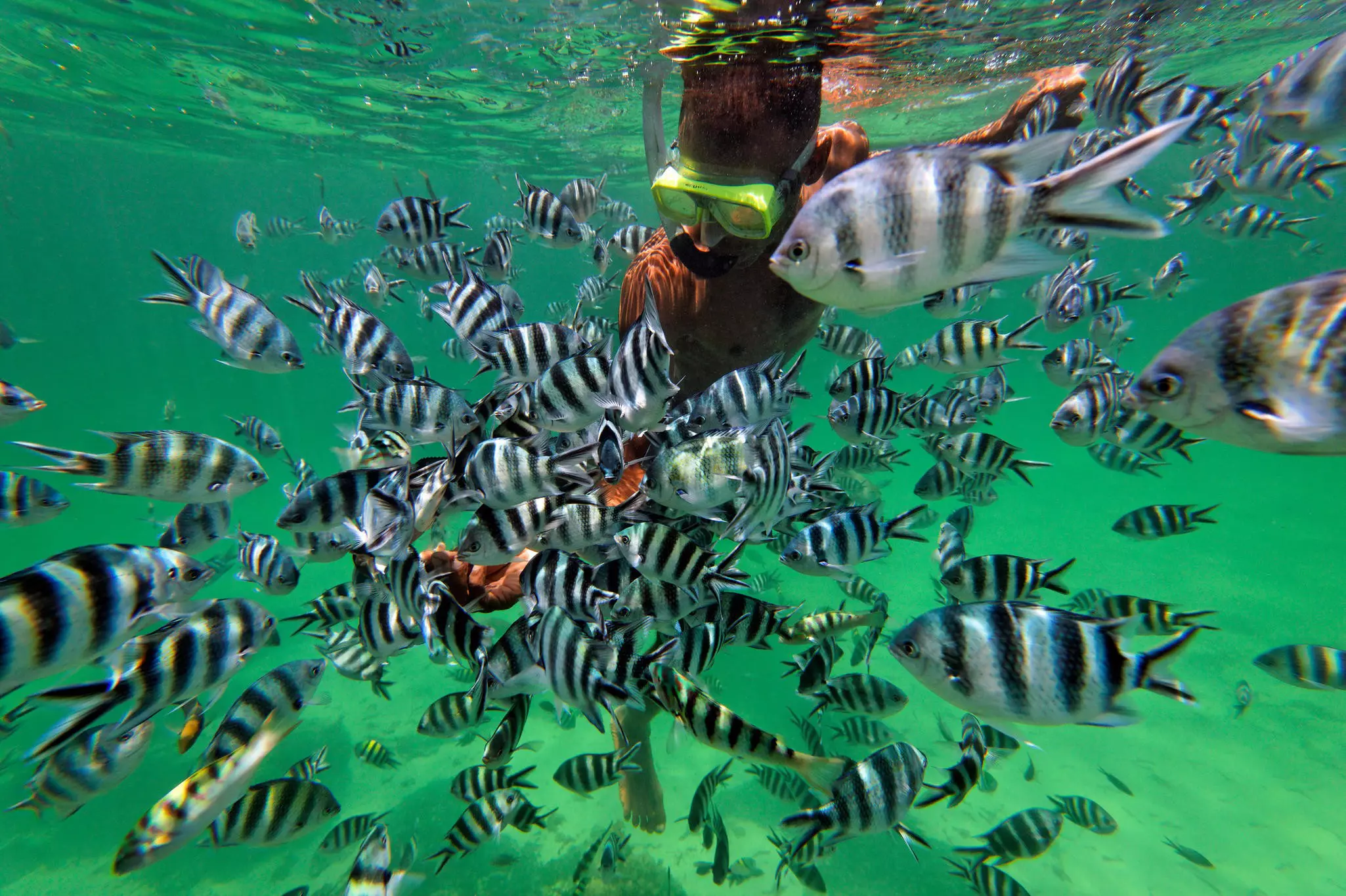 A diver in Malindi. Alamy Stock Photo