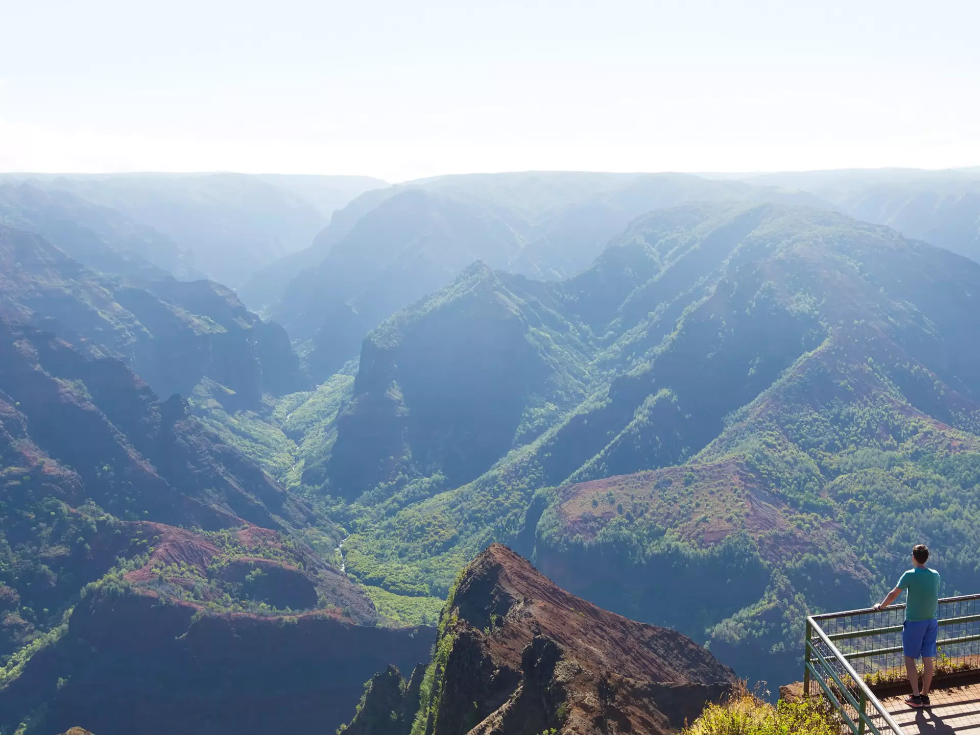 Young man enjoying the beautiful view of Waimea canyon at Kauai island, Hawaii