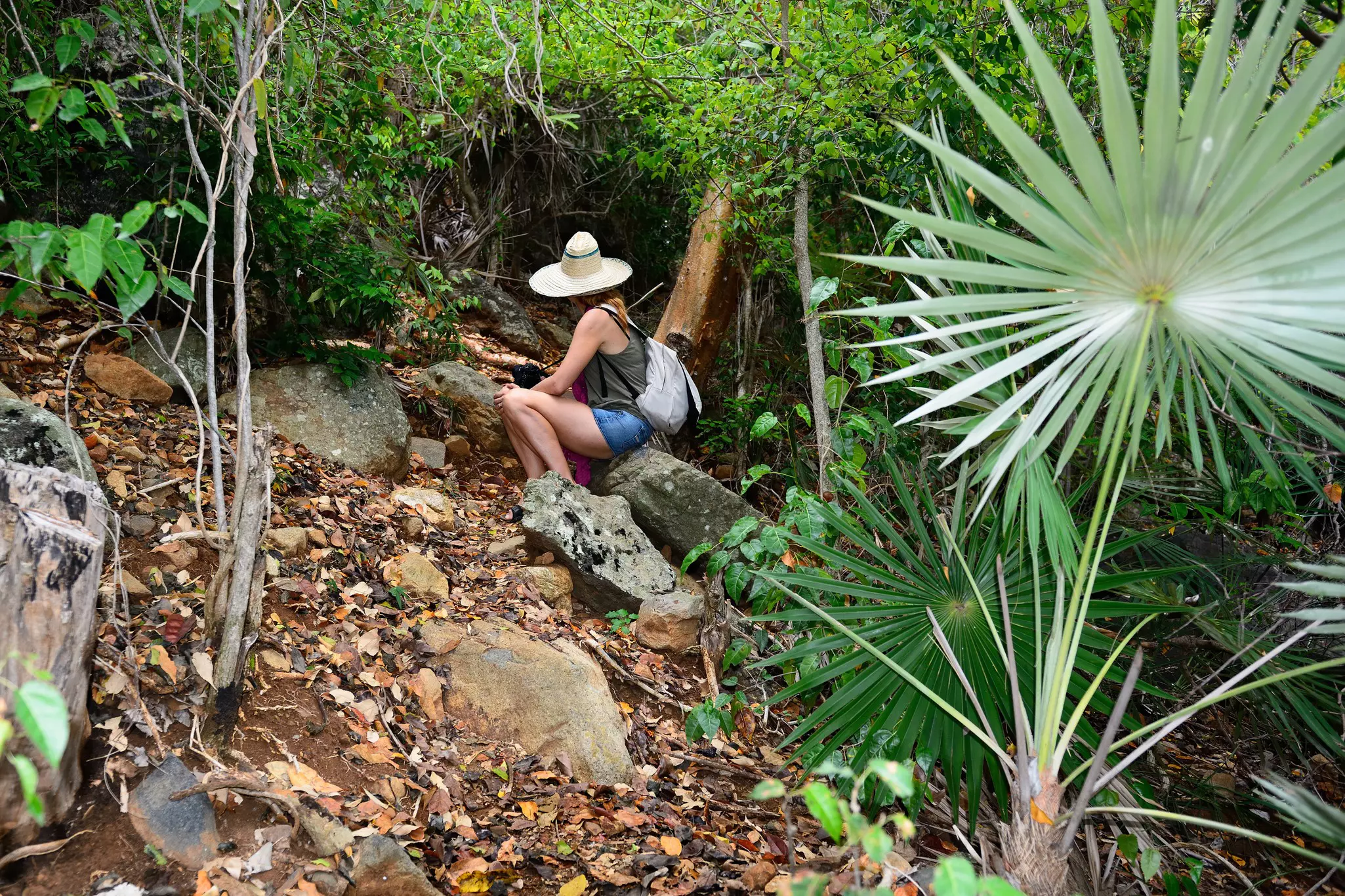 Trekking up Pico Turquino is challenging – bring water and take breaks whenever you need one © Getty Images / iStockphoto