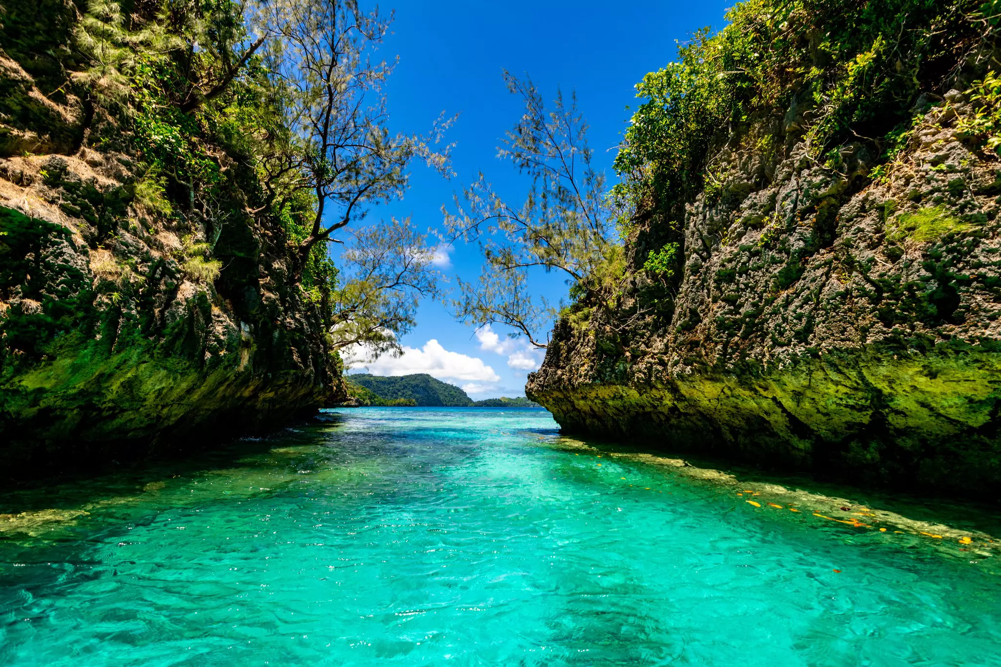 A tropical cove with bright turquoise water framed by two rocky formations covered with greenery and algae.