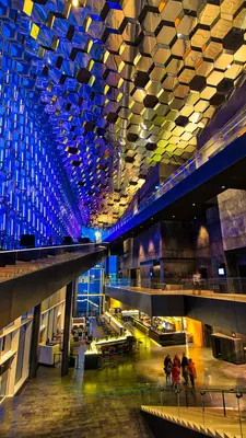 Inside the concert hall in Reykjavík.