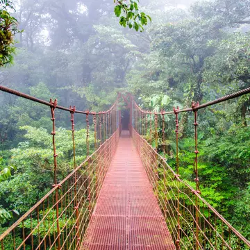 Bridge in Rainforest - Costa Rica - Monteverde