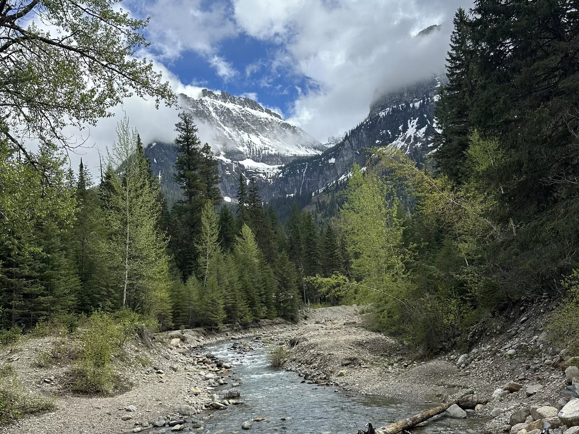 Glacier National Park, Going-to-the-Sun Road, mountains in the background, a river in the foreground. 