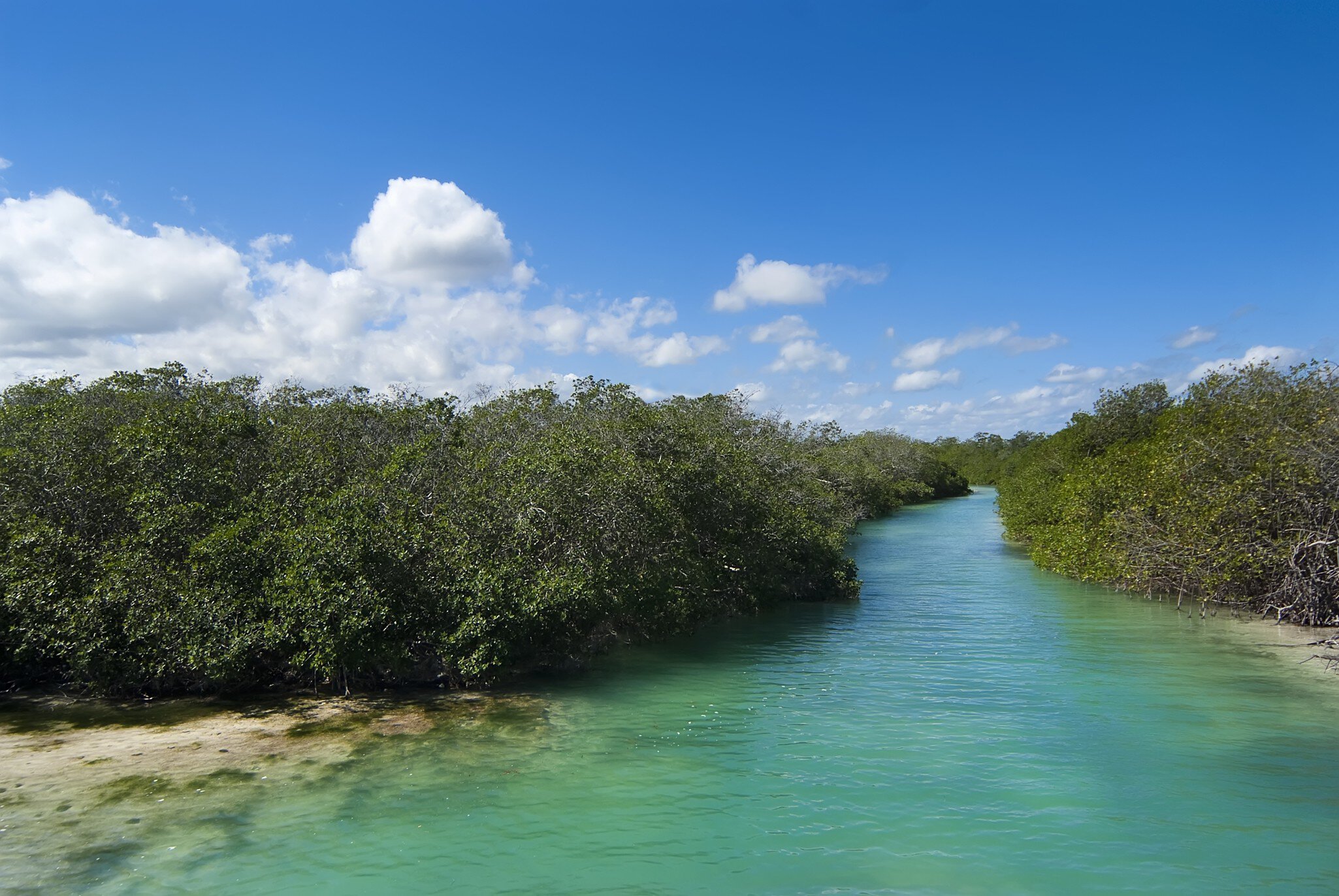 The Sian Ka'an Biosphere Reserve in Quintana Roo, Mexico
