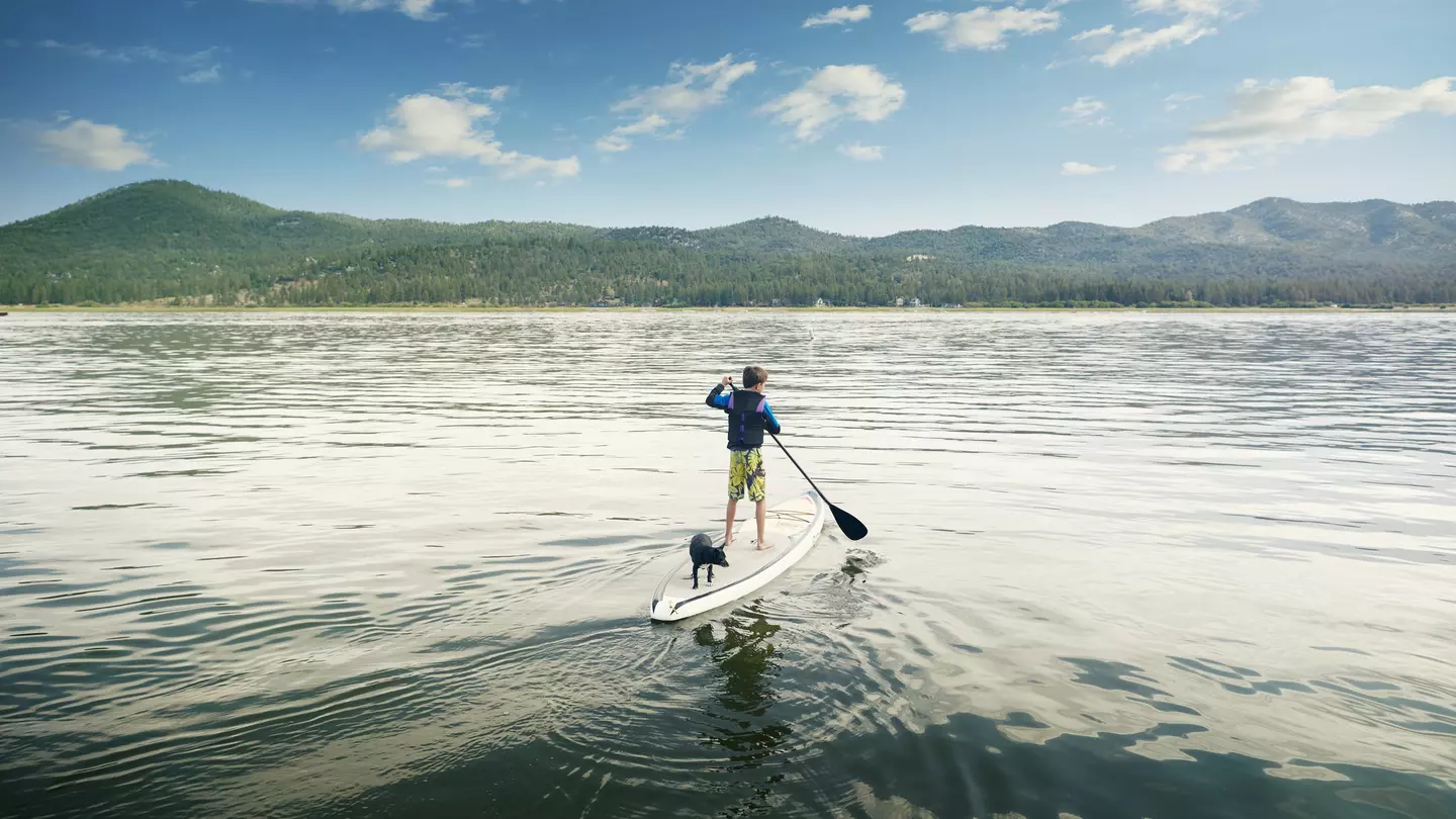 A boy and his dog paddle boarding on Big Bear Lake, San Bernadino County, California