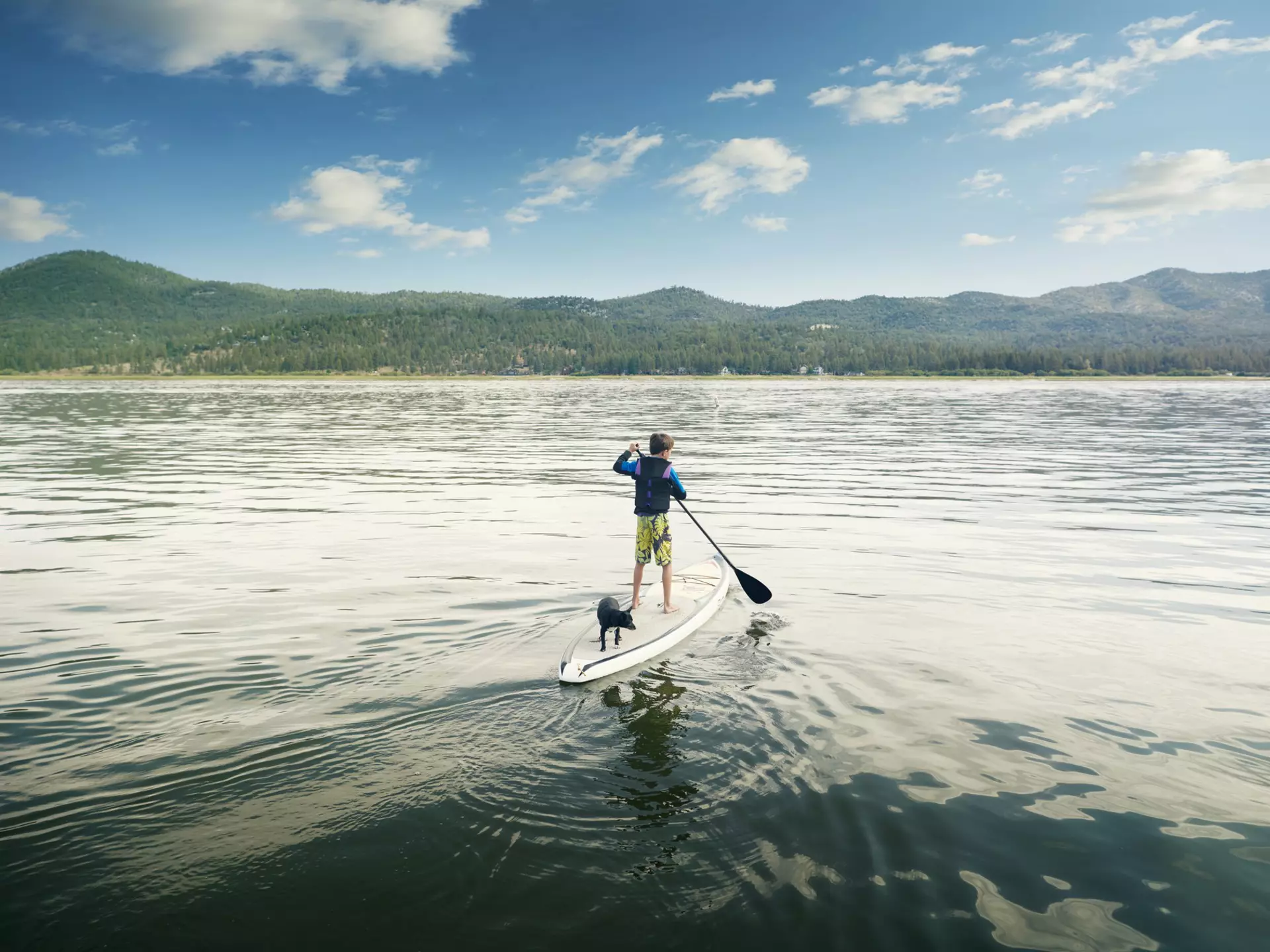 A boy and his dog paddle boarding on Big Bear Lake, San Bernadino County, California