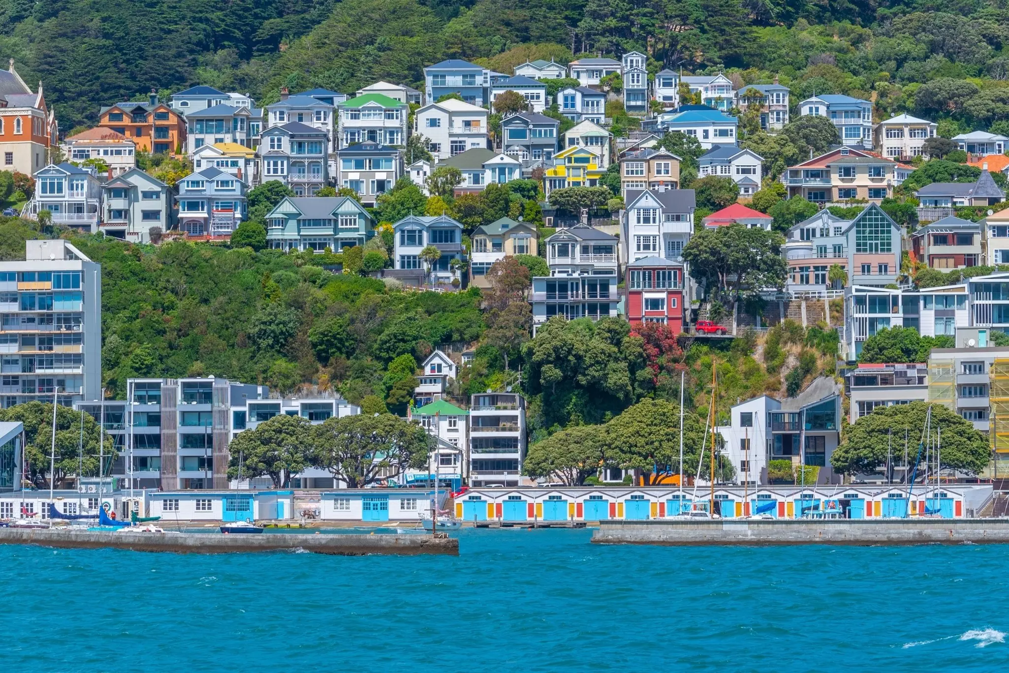 Traditional residential houses at Mount Victoria in Wellington, New Zealand