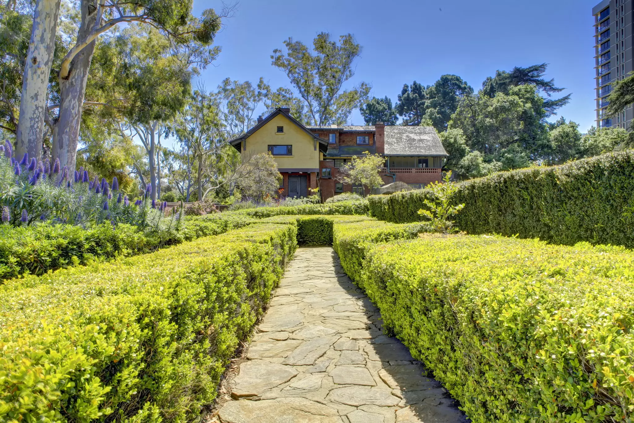 Picturesque walkway with trimmed hedges to Marston House Museum & Gardens, San Diego.