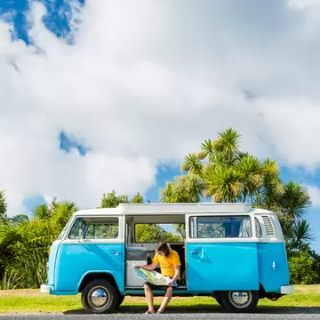 Man in a yellow T-shirt reads a paper map in the open door of a blue and white campervan beside cabbage trees