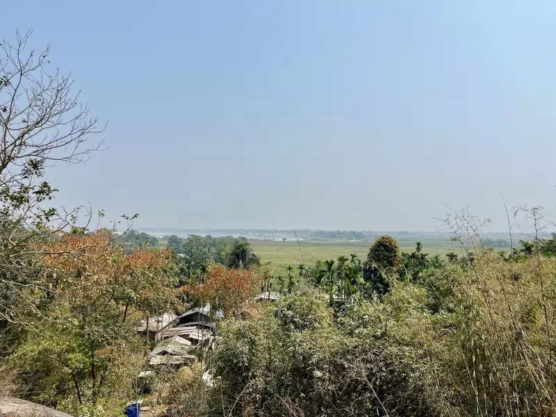 A village surrounded by palm trees. 
