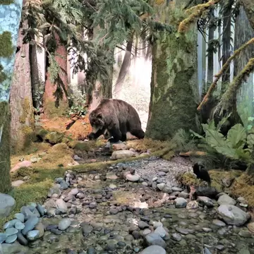 Mounted brown bear among mossy tree trunks and ferns beside a pebbled creek bed, a raven perched on a log.