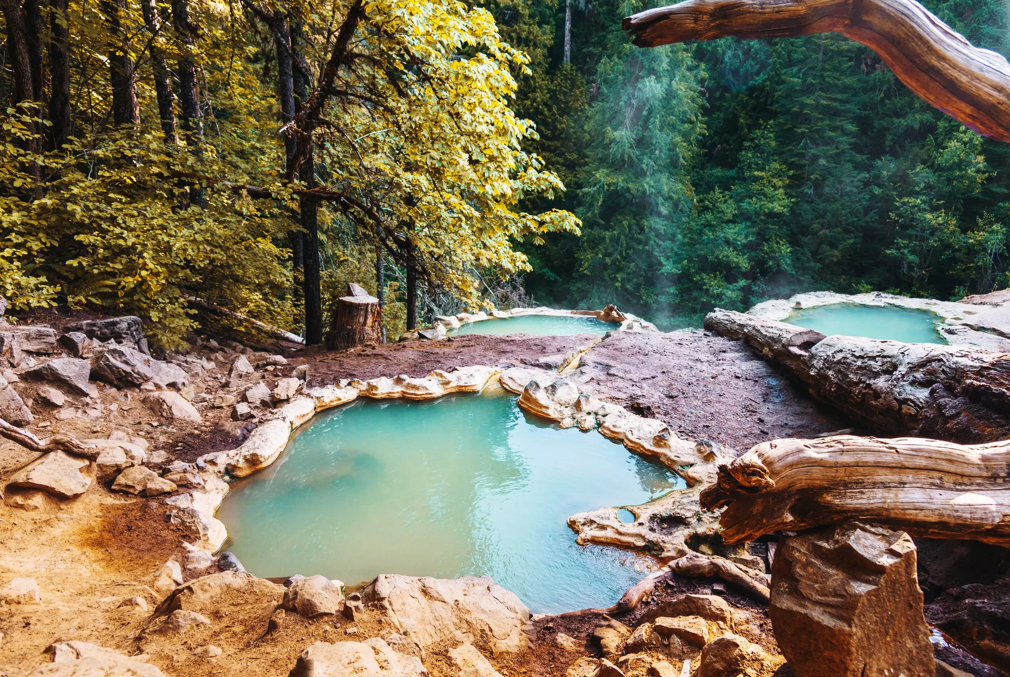 A man sits in a hot springs pool surrounded by the forest.  